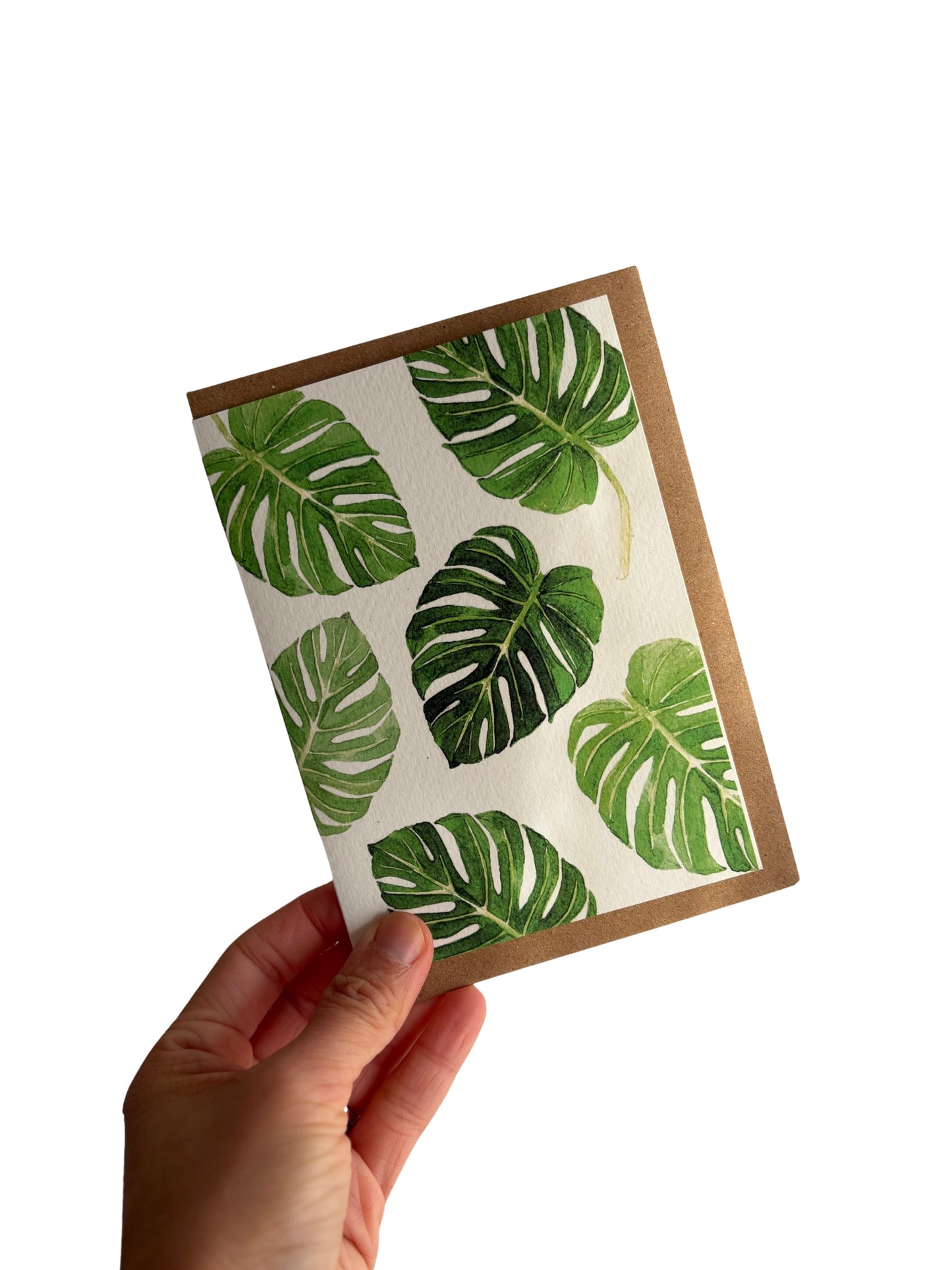 Montsera card